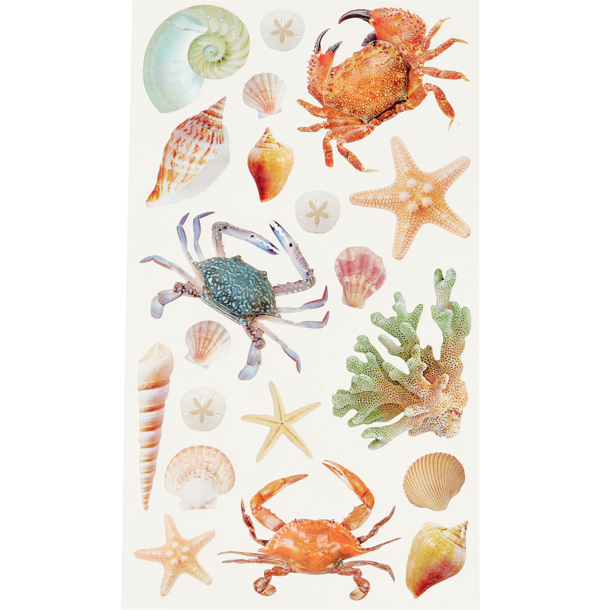 Shell Stickers by Recollections™